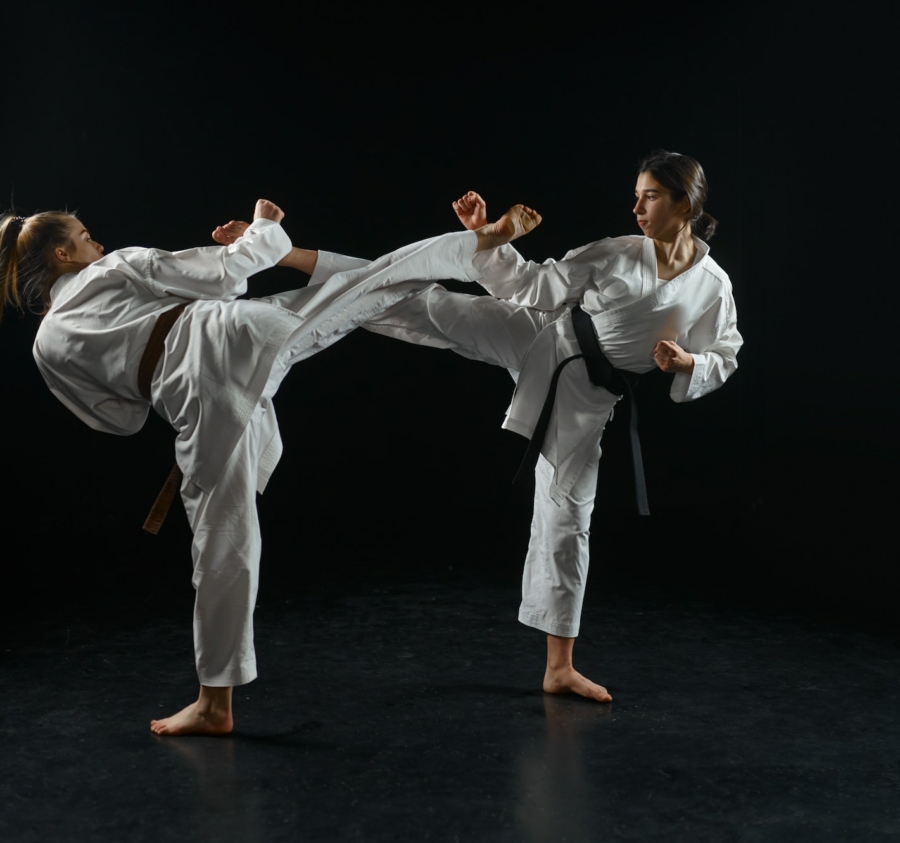 Playing Mantis Kung-fu
